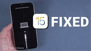 How to Fix iOS 15/16 iPhone Stuck in Recovery Mode during Update or Restore