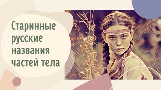 Старинные русские названия частей тела