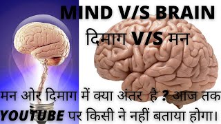 Mind v/s brain/what is difference between mind or brain? दिमाग और मन मे अंतर।human,brain and mind,