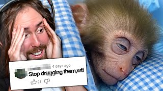 Animal Abuse Is Taking Over YouTube | Asmongold Reacts
