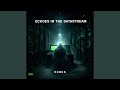 MEMORY ECHOES (SIGNALS)