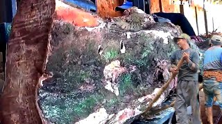 The process of cutting rare wood to ward off evil spirits || Sawmill