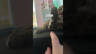 BVHjDUBteuY