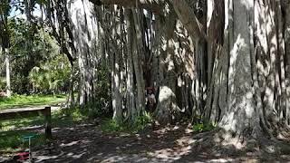 Banyan at Hugh Taylor Park Ft-Lauderdale