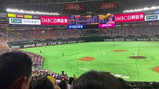 日本シリーズ2019 阿部慎之助　現役最後のホームラン