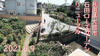 秋田県大館市　石田ローズガーデン　リニューアル　2021/6/9