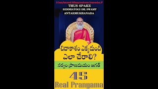 45. చిదాకాశం ఎక్కడుంది ఎలా చేరాలి? సర్వం ప్రాణమయం జగత్ #shorts Siddhayogi Dr. Swamy Antarmukhananda