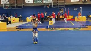 Group C Daoshu 8.33, Ryan Gao, 2022 Canadian National Wushu Championships