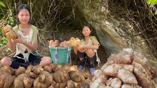 The orphan girl went up the mountain to dig up a basket of cassava to sell at the market.