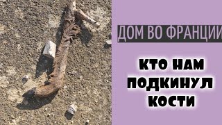 какая странная находка во дворе| 15.02 все готово к весне