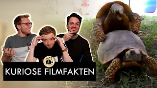 Kuriose Filmfakten 27 | Die Schildkröten Geheimwaffe für Blockbuster