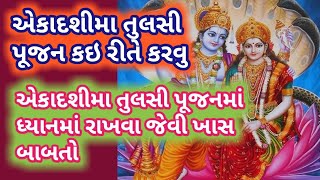 તૂલસી માતા ને એકાદશી ના દિવસે જળ ચડાવવું કે નહિ.?//Ekadashi Me tulsipujankesekare