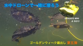 水中ドローンで一緒に潜ろう！