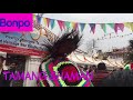 tamang shaman bonpo porfom at boudhanath nepal