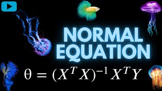 Normal Equation code in python | AI Basics |