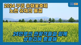 2024 구리 유채꽃 축제, 노란 유채 물결의 향연