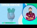 THYROID HORMONE PART-1