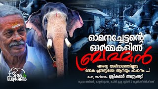 ഈ ആനയുടേയും പാപ്പാന്റെയും അപൂർവ്വ സ്നേഹമാണ് ലോകം മുഴുവൻ കണ്ടതും കണ്ണീരണിഞ്ഞതും ..