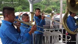 Banda Los Primos - Chiquitita