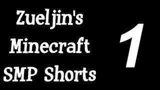 Zueljin's Minecraft SMP Shorts - Part 1