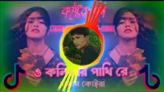 ও কলিজা পাখিরে DjAjijul Remix