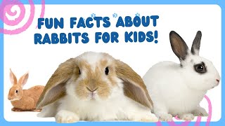 Hoppy Rabbits  Fun Facts About Fluffy Friends!