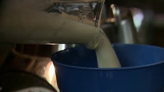 Protein powder health concerns