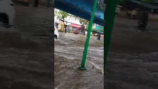 water logging at vandana bus stand