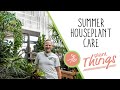 Summer Houseplant Care🌿