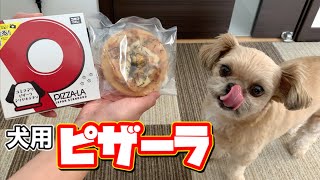 【犬 ごはん】コミフデリ×ピザーラのコラボ商品！テリヤキチキン チワワ×シーズー