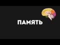 8 полезных эффектов алкоголя или Почему пить не вредно