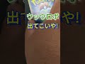 《ポケカ》久々の【ウッウロボ】チャレンジ　 shorts