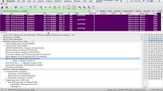Wireless Frames and Scapy