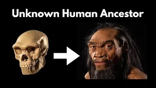 Completely Unknown Human Ancestor that Rewrites the History