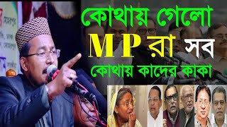 কোথায় গেল এমপিরা সব কোথায় কাদের কাকা। তাদের জন্য দেশটা আজ লাগে ফাঁকা ফাঁকা। শিল্পী কবির বিন সামাদ