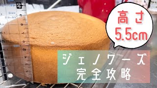 【同時進行用ノーカット動画】スポンジケーキの練習にどうぞ！ジェノワーズ完全攻略