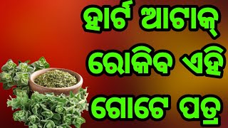 ହାର୍ଟ ଆଟାକ୍ କୁ ରୋକିବ ଏହି ଗୋଟେ ପତ୍ର. ଜଲଦି ଦେଖନ୍ତୁ ଏମିତି