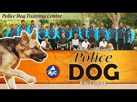 The Story of Trained Police Dogs || Exclusive || Mictv || The Story of Trained Police Dogs || Exclusive || Mictv ||
