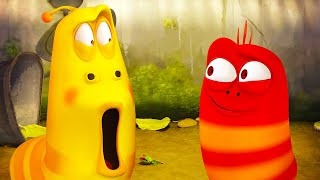 Concurso de mantener la vista | LARVA | Dibujos animados para niños | WildBrain en Español