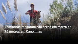 Bombeiros resgatam cão preso em morro de 75 metros em Canoinhas