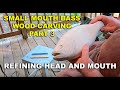 Small Mouth Bass Wood carving  part 3 refining head and mouth