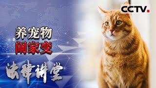 《法律讲堂(生活版)》父女关系破裂 双方破口大骂 为什么说是因为宠物猫才引发的家庭矛盾？ 20210718 | CCTV社会与法