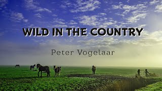 Wild in the Country - Elvis Presley - one-man cover by Peter Vogelaar