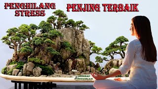 50 inspirasi Penjing terbaik (Relaxing Music)