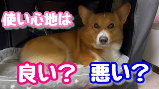 【Nウォーム】ニトリのペットベッド新調しました！コーギー犬コナン