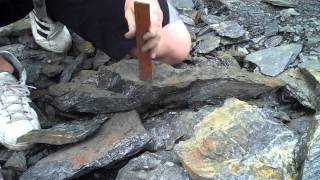 Rock Splitting Technique for Advanced Rocks Fossil Fern Lab