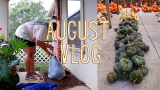 Balcony Cleanup, Eudora Welty House, Halloween Plans, Hurricane Ida | August 2021 Monthly Vlog