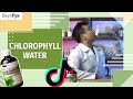 I DRANK Chlorophyll Water For 3 WEEKS | Skynfyx Reviews