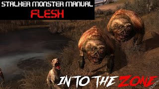 STALKER Lore Monster Manual - Flesh