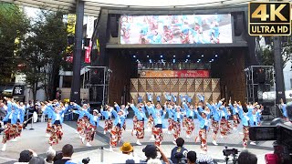 【4k 60fps】東京よさこい なな丸隊 『一気』  第24回東京よさこい ふくろ祭り 2023.10.7 池袋 アゼリア通り よさこい YOSAKOI